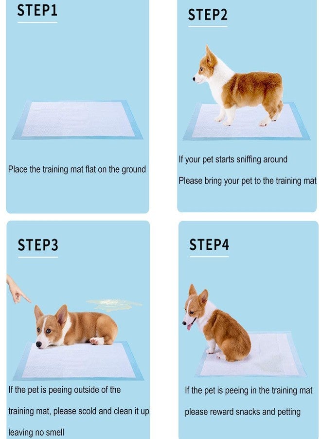 Pups&PetsDog Training Pads/Training Pee and Potty Pads with Quick Drying Surface and Absorbent Core/Suitable for Small/Large Breed Puppies/Size: XL/L-60 cm X H- 45 cm (10 Pcs) - Image 5